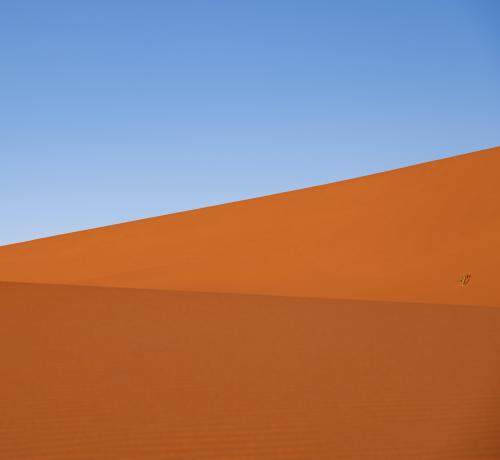 Shades of colors  Sossusvlei, Namibia