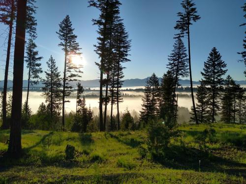 Misty mountain morning. McCall,ID.