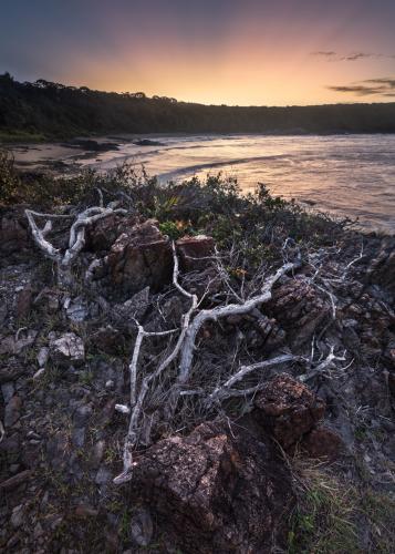 Agnes Water Sunset  [