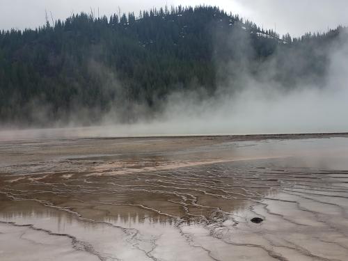 Photo I took of steam rising over bacterial mats in Yellowstone's Great Prismatic Spring.