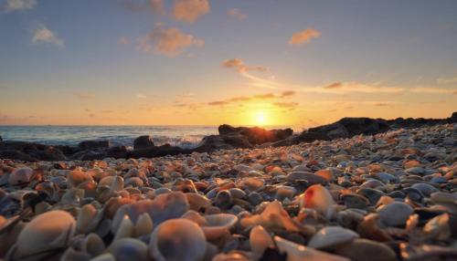 Coral Cove Park, FL. Thank you Captain Kimo for taking such an incredible photo.