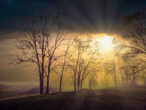 Foggy morning sun peeking through the clouds and trees, Meridian, MS