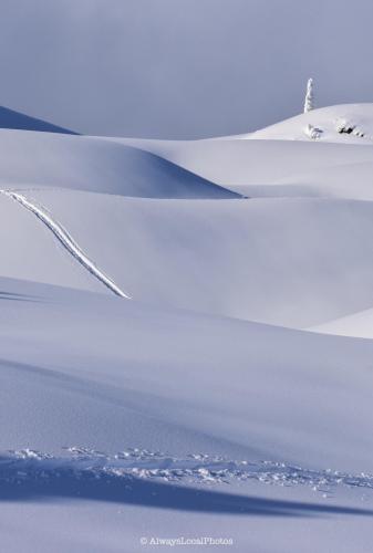 Fresh snow in Mt Baker National Forest  @alwayslocalcphotos