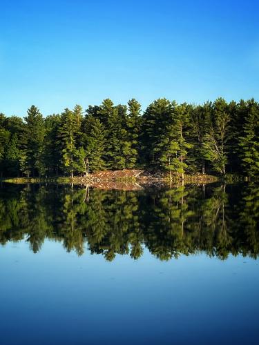 Morning reflections on Big Salmon Lake, South Frontenac County, Ontario Canada