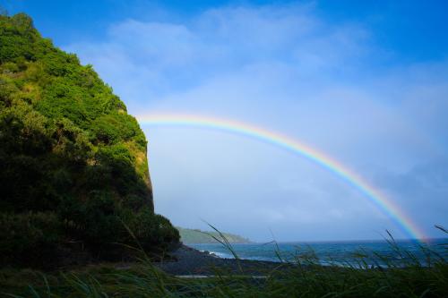 After finishing the Road to Hana. Maui, USA