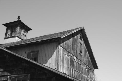 An abandoned barn