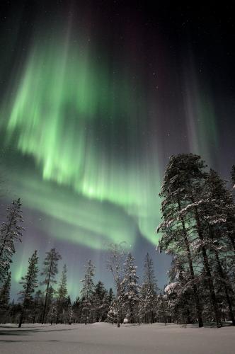 Auroras over Finnish Arctic Circle