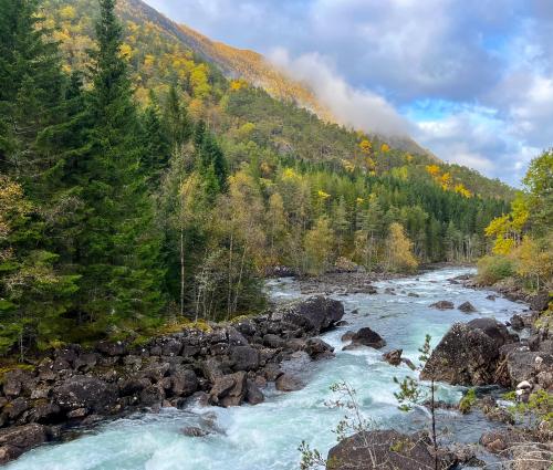 Fall hike in Husedalen, Norway  @cg_carrots