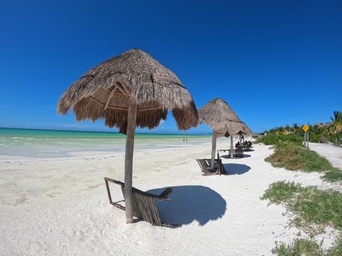 The unspoilt natural reserve Island of Holbox