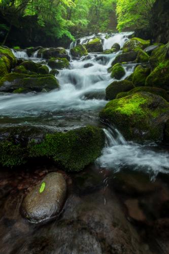 Summer Waterfall in Nagano, Japan