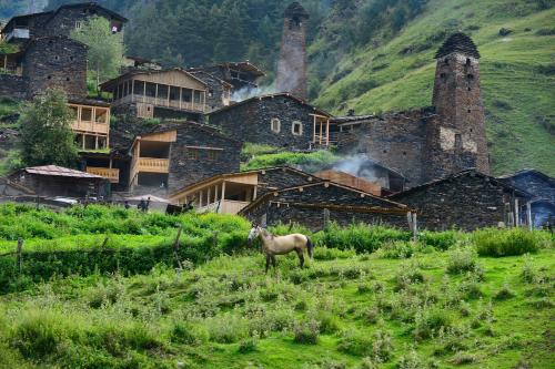 Dartlo village in Georgia