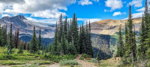 From along the Iceline trail. Yoho national park. British Columbia, Canada.