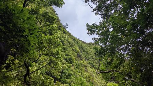 O'ahu Hawaii, Lulumahu Falls Trail