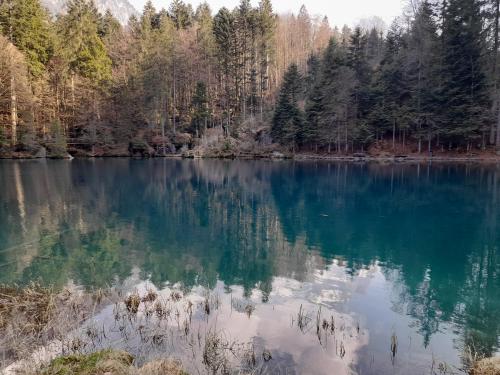 Blausee lake, Switzerland