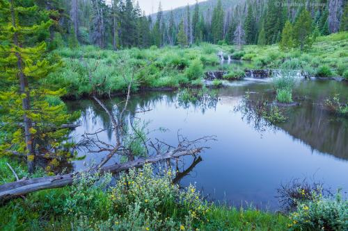 Beaver ponds at Keystone, CO USA