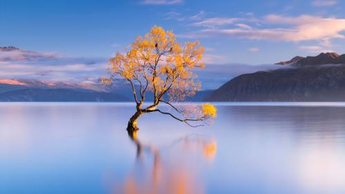 Lake Wanaka Landscape Scenery