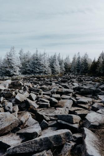 Spurce Knob, WV