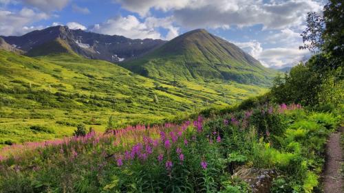 Mountains and flowers