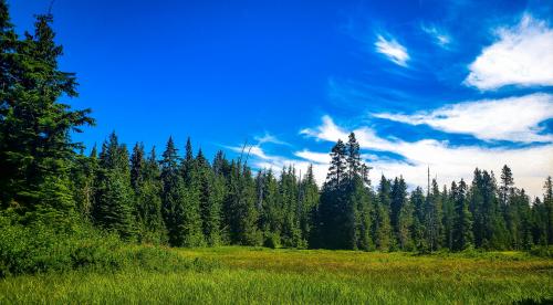 Mt. Hood National Forest