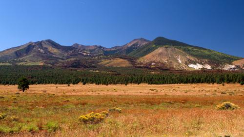 Kachina Peaks Wilderness with Humphreys Peak, the Arizona state high point