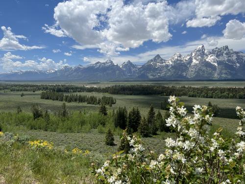 Grand Teton National Park, Wyoming, USA