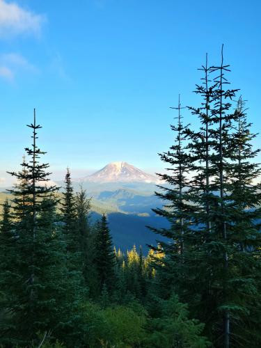 Mt. Adams from within Gifford Pinchot National Forest, Washington State