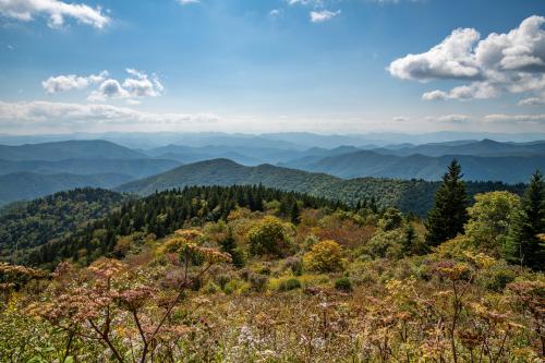 Blue Ridge parkway at Cowee Mountain Overlook.