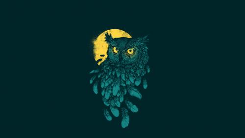 Minimalism. Owl in the night