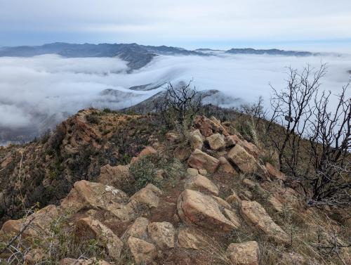 Fog rolling over the California foothills onto Lake Berryessa