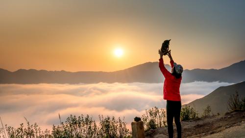 Person Standing Near Sea Of Clouds