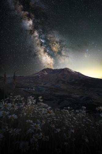 Wildflowers fill the void left after the devastating blast of Mt St Helens beneath the Milky Way