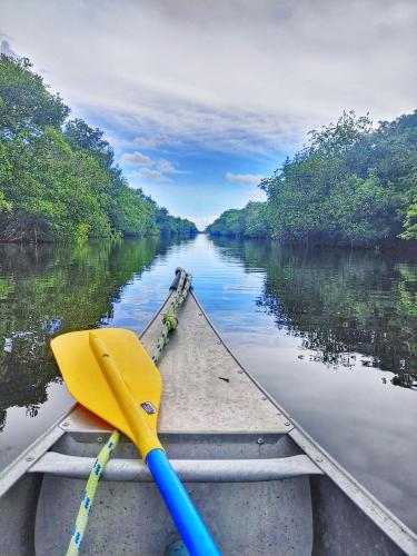 Canoeing in Everglades national park, FL