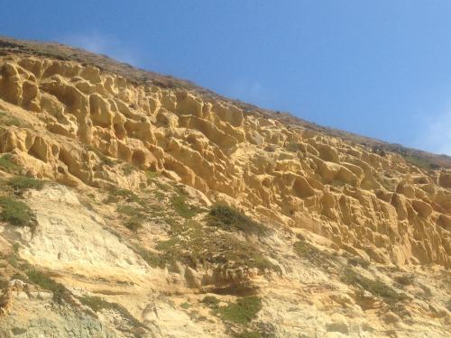 Torrey Pines National Park, California, USA