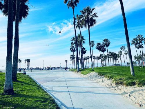 Venice Beach, Los Angeles