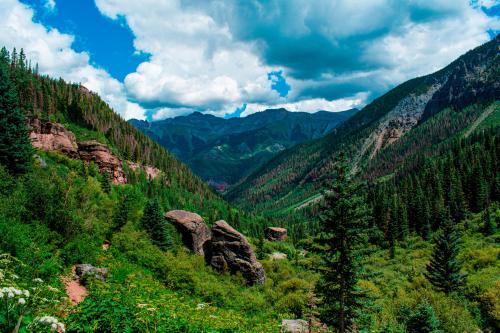 The valley overlook next to Bear Creek Falls, CO.