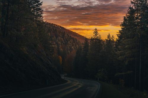 road street forest