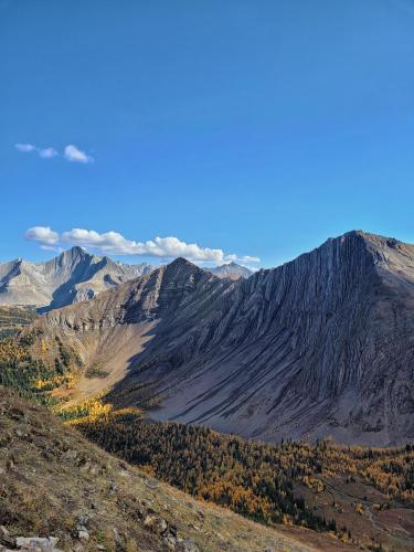 Larches and Mountains, Canada  3024*4032