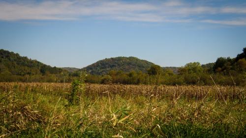 Looking out from Bear Creek Sedge Meadow in the Driftless Area of Wisconsin, USA