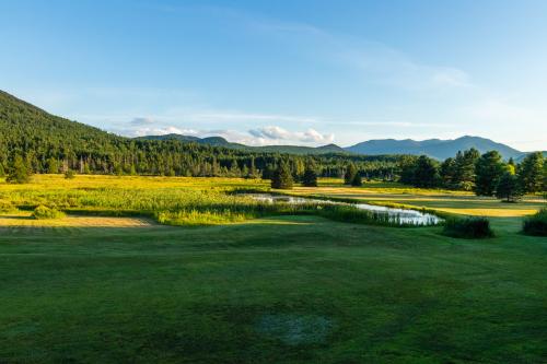 Field in the Adirondacks