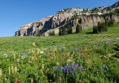 Death Canyon Shelf, Grand Teton National Park