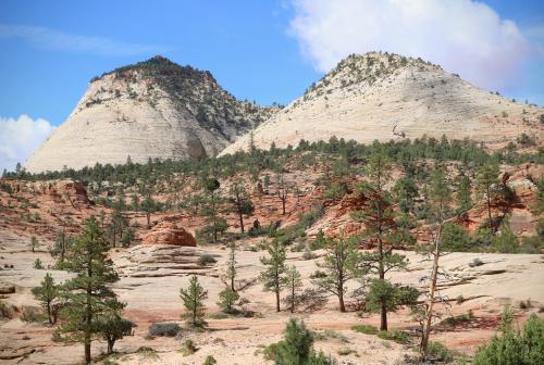 Zion Canyon East, Utah