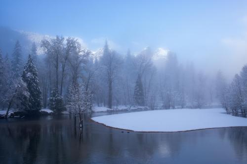 Calm Morning Along the Merced River, Yosemite Valley