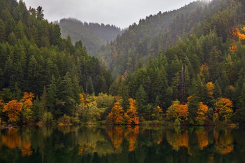 Fall in the Pacific Northwest - Rural Western Oregon, USA