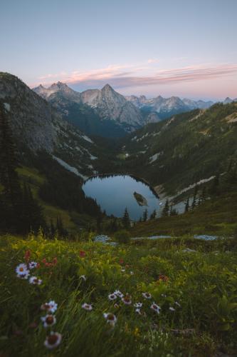 Wildflower bloom in the North Cascades, Washington