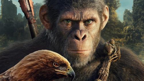 Kingdom of the Planet of the Apes Noa Falcon