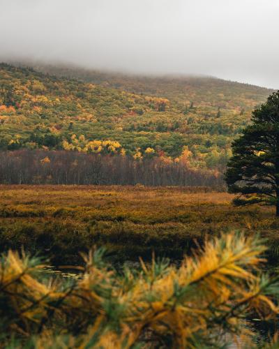 Acadia National Park in full fall colors
