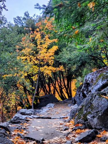 Remembering Fall , Yosemite National Park, CA