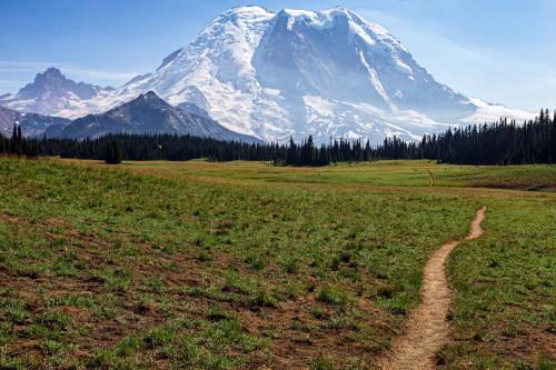 A stroll through Grand Park, Mt Rainier -- Washington, USA