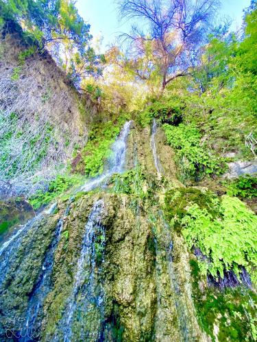 Beautiful Waterfall ~ Japanese Tea Garden, San Antonio