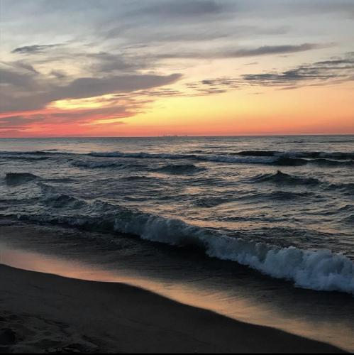 Lake Michigan from Indiana Dunes National Park. Chicago Skyline in the distance.